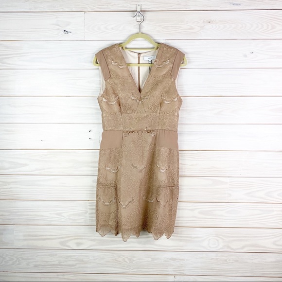 REISS Natural Gemina Lace Fit And Flare Dress New - Picture 4 of 11
